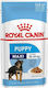 Royal Canin Maxi Υγρή Τροφή για Κουτάβι με Κρέας σε Φακελάκι 140γρ.