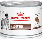 Royal Canin Recovery Υγρή Τροφή Σκύλου Διαίτης με Κρέας σε Κονσέρβα 195γρ.
