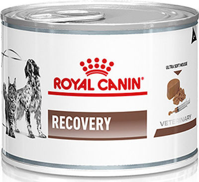 Royal Canin Recovery Wet Food Dog Diet 3737002