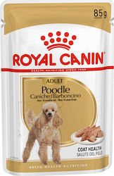 Royal Canin Caniche/Barboncino 85gr Royal Canin Caniche/Barboncino 85gr