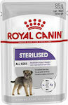 Royal Canin Umedă pentru Câini pentru Câini Sterilizați cu Carne în Plic 1 x 85gr. 1731010