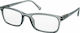 Eyelead E181 Men's Reading Glasses +1.25 Grey E181 E 181