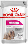 Royal Canin Exigent Wet Dog Food Pouch with Meat 6 x 85gr