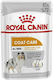 Royal Canin Coat Care Wet Food Dogs in Pouches with Meat 12x85gr 1736010