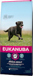 Eukanuba Active Adult Large Breed 12kg Dry Food for Adult Dogs of Large Breeds with Chicken