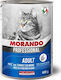 Morando Professional Wet Food for Adult Cats In...