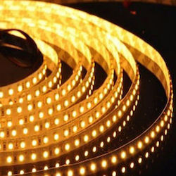 LED Лента 12V със Топло бяло Светлина 5м LED Лента 12V със Топло бяло Светлина 5м