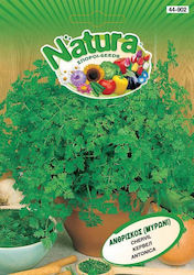 Natura Ανθρίσκος Μυρώνι Seeds Chervil