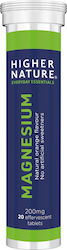Higher Nature Magnesium 200мг 20 бр Higher Nature Magnesium 200мг 20 бр