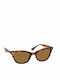 Eyelead L669 Women's Sunglasses with Brown Tartaruga Plastic Frame and Brown Lens L 669