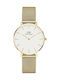 Daniel Wellington Petite Evergold Women's Watch with Gold Metal Bracelet