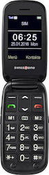 Swisstone BBM 625 Single SIM Κινητό με Μεγάλα Κουμπιά Ασημί