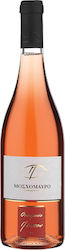 Oinopoieio Pantou Rosé Trocken 750ml Oinopoieio Pantou Rosé Trocken 750ml