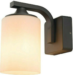 Aca Dareia Lighting with Shade 21x21.2x11.8cm