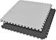 Fitpro Boden Puzzle Fitnessstudio Doppelseitig 100x100x3cm 1Stück