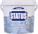 Thrakon Status Grundierung Acrylgrundierung für Kunststoffe und Acrylfarben Geeignet für Gipskarton / Baumaterialien / Gemäuer 3Es