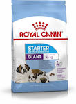 Royal Canin Startet Mother & Babydog Giant 15kg Ξηρά Τροφή για Κουτάβια Μεγαλόσωμων Φυλών με Καλαμπόκι, Πουλερικά και Ρύζι