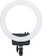 Ring Light Nanlite Halo 16 Portrait Ring Light 40cm 3200-5600K with Mobile Phone Holder