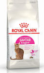 Royal Canin Feline Preference Savour Exigent Dry Diet Adult Cat Food with Poultry 10kg