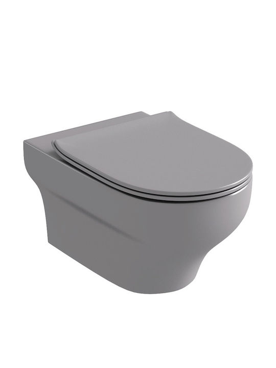 Olympia Clear Rimless Wall-Mounted Toilet that ...