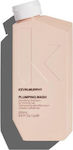 Kevin Murphy Plumping Wash Shampoos Volumen für Zerbrechlich Haare 1x250ml