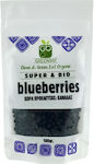 Green Bay Organic Blueberries without Sugar 100gr