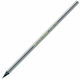 Bic Evolution Pencil HB Gray