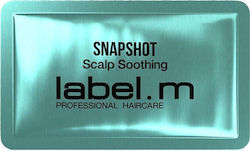 Label.M Snapshot Scalp Soothing Μάσκα Μαλλιών 9ml Label.M Snapshot Scalp Soothing Μάσκα Μαλλιών 9ml