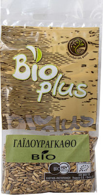 Aeiforos Gi Σπόροι Γαιδουράγκαθου Thistle Organic Product 50gr