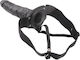 Toyz4lovers Real Rapture Air Feeling Harness with Dildo 20.5cm and Vibration in Black Color