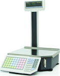 Elzab Eco Print 20 Electronic Commercial Retail Scale with Beam and Printer 15kg/5gr