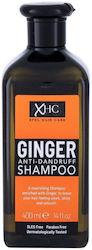 Xpel Ginger 400ml