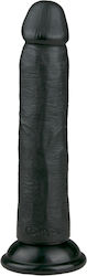 Easytoys Glass Dildo With Suction Cup Black 20.5cm