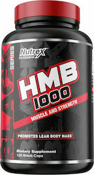 Nutrex HMB 1000 120 Capsules Unflavoured Nutrex HMB 1000 120 Capsules Unflavoured