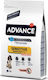Affinity Advance Sensitive Medium/Maxi 3kg Dry Food Gluten-Free for Adult Medium Breed Dogs with Rice and Salmon