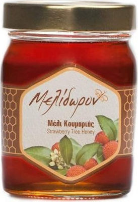 Melidoron Honey Arbutus 450gr