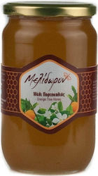 Μελίδωρον Honey Orange 950gr