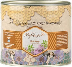 Μελίδωρον Honey Thyme & Fir 2000gr