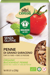 Probios Penne Φαγόπυρο Organic Gluten Free 250gr 1pcs