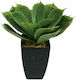 Marhome Artificial Plant in Small Pot Aloe Green 26cm