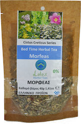 LelexTea Tee Morfeas 40gr 1Stück LelexTea Tee Morfeas 40gr 1Stück