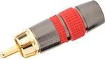 RCA male Connector 1pc