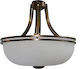 DITS Lighting Dits Lighting Ceiling Mount Light Bronze with Socket G9