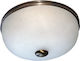 DITS Lighting Dits Lighting Ceiling Mount Light 30cm Bronze with Socket G9