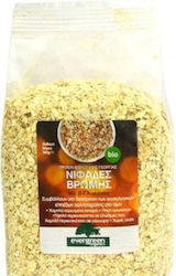 Evergreen Organics Bio Fulgi Ovăz 500gr
