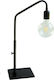 DITS Lighting Dits Lighting Metal Vintage Table Lamp for Socket E27 with Transparent Shade and Black Base