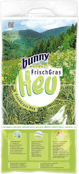 Bunny Nature Χόρτα για Τρωκτικά Freshgrass Hay Bunny Nature Χόρτα για Τρωκτικά Freshgrass Hay
