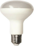 Eurolamp LED Lampen für Fassung E27 und Form R80 Kühles Weiß 1100lm 1Stück