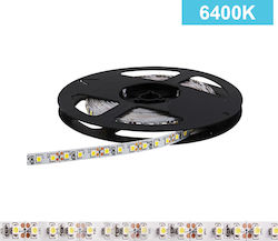 Vito Bandă LED Alimentare 12V cu Lumină Alb Rece Lungime 5m și 120 LED-uri pe Metru SMD3528