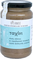 THysanos Produs Organic Tahini Integral Integral 370gr THysanos Produs Organic Tahini Integral Integral 370gr